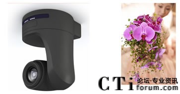 �������^���r��������